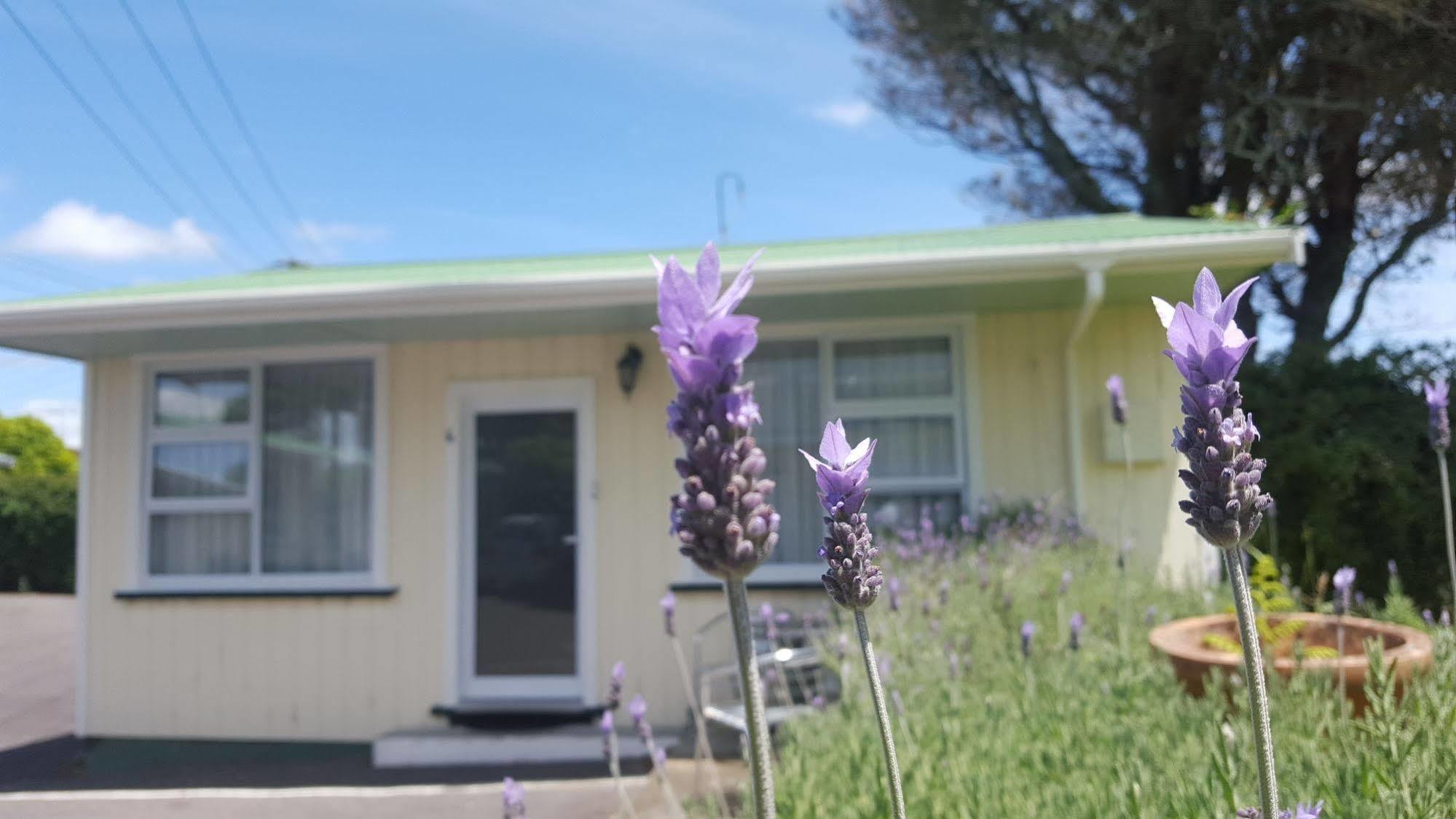Timandra Motel New Plymouth Buitenkant foto