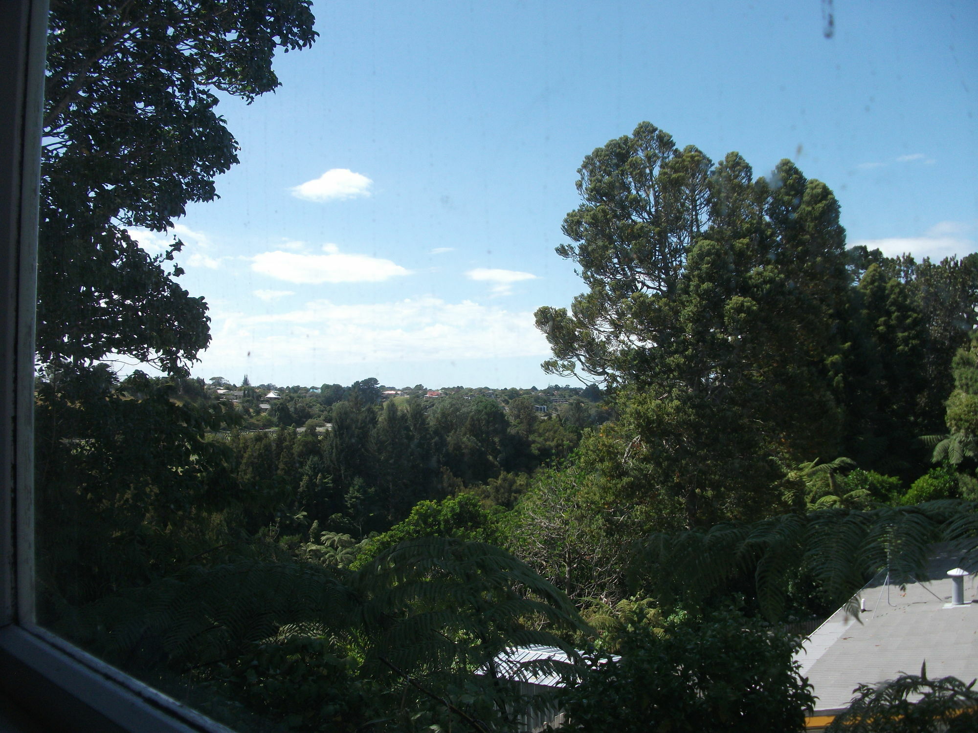 Timandra Motel New Plymouth Buitenkant foto