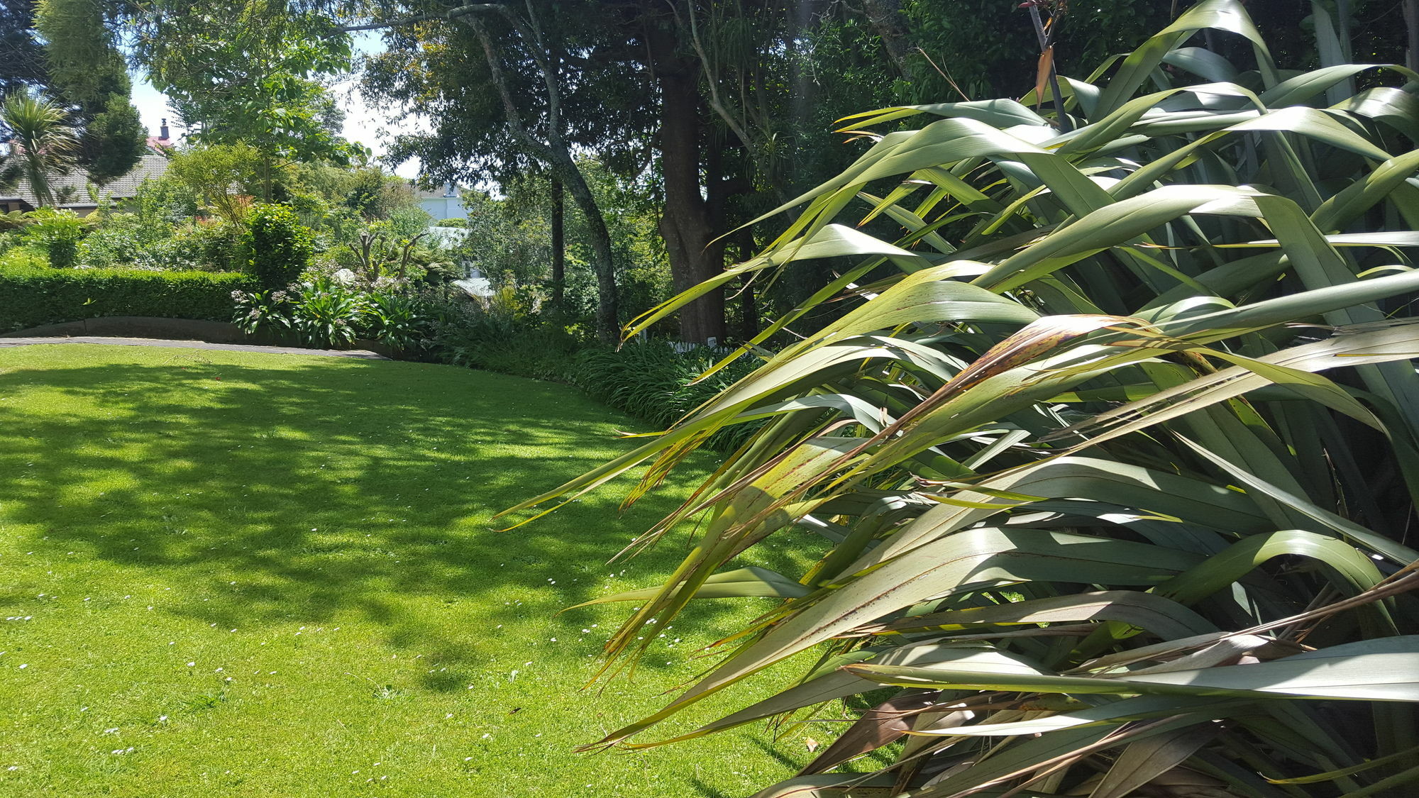 Timandra Motel New Plymouth Buitenkant foto
